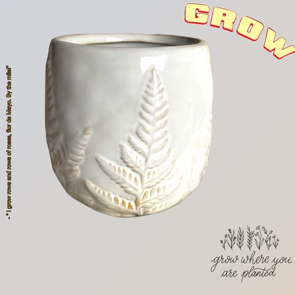 NEW House Plant Pot - Picture 7 of 7